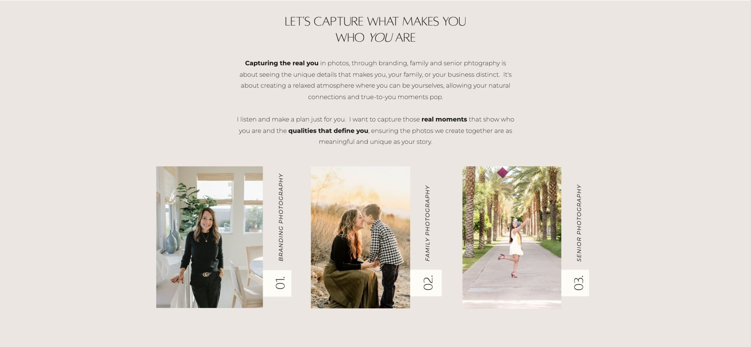 Danielle Mucillo Photography Homepage showing how to guide visitors through the site.